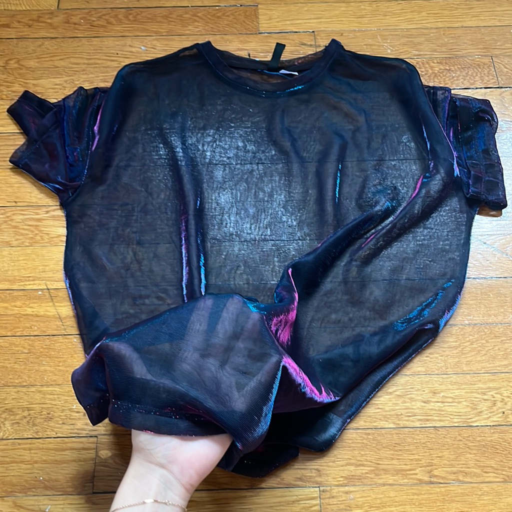 H&M Translucent Blouse